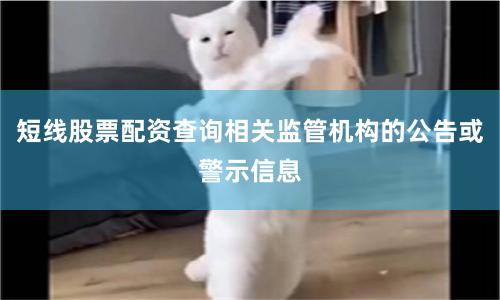 短线股票配资查询相关监管机构的公告或警示信息