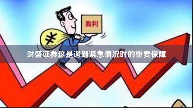 财盛证券这是遇到紧急情况时的重要保障